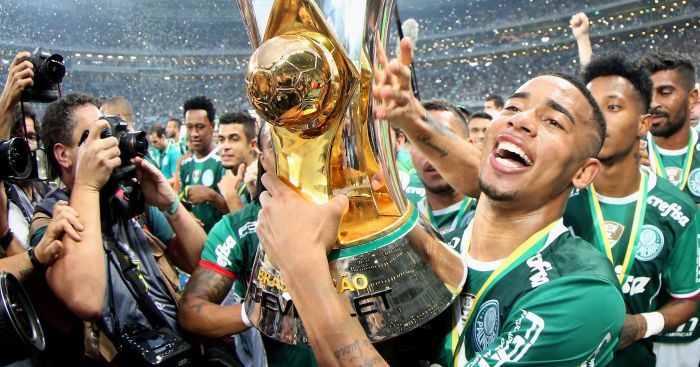 New Man City signing is Brazil’s best player – Pele