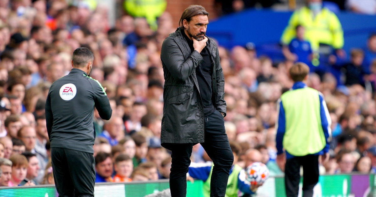 Daniel Farke looking bemused on the sideline