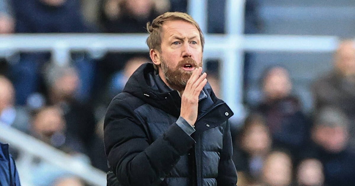 Brighton manager Potter