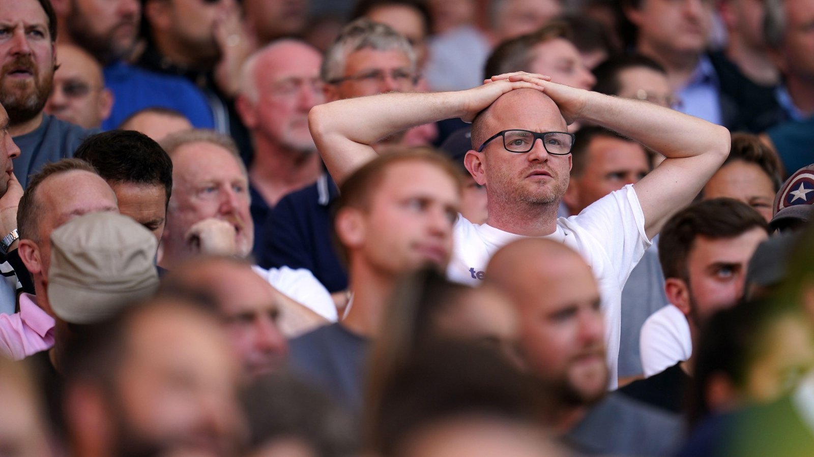 Tottenham supporters