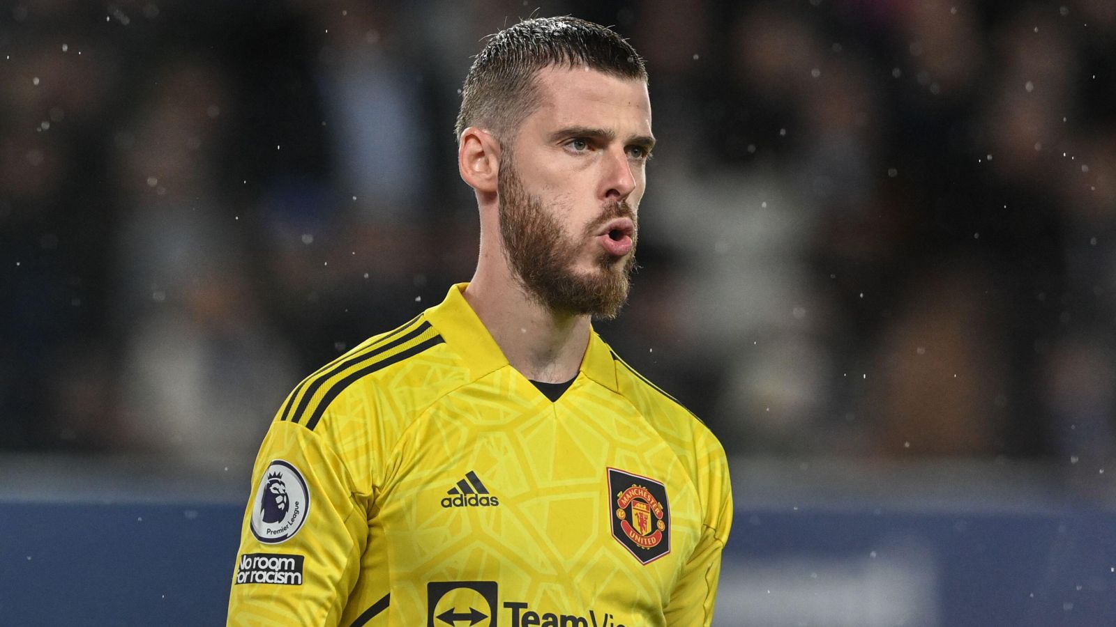 Ex-Premier League keeper Foster thinks De Gea ‘problem’ could actually save Man Utd £80m