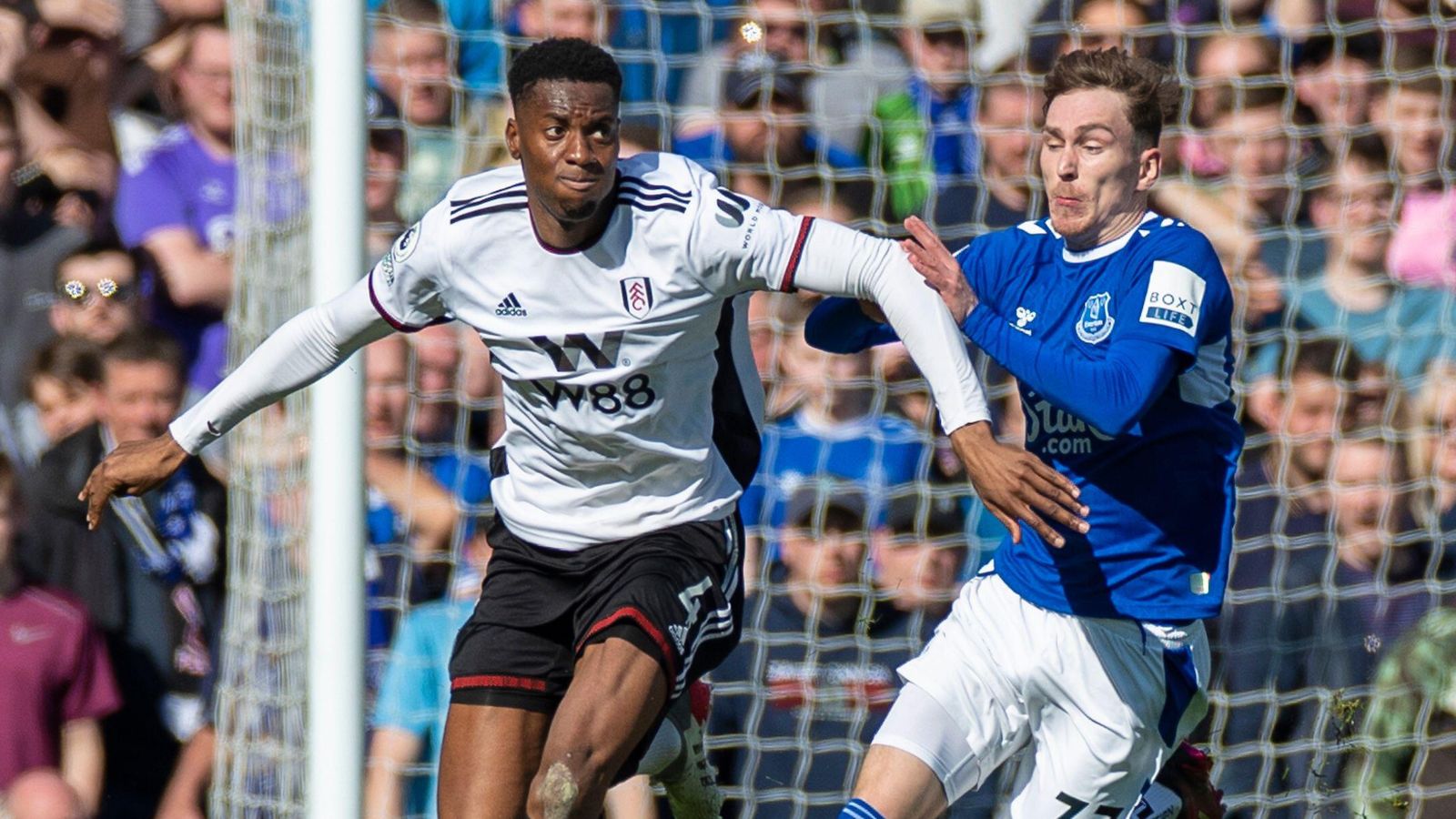 Tottenahm target Adarabioyo