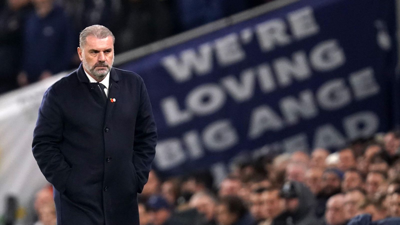 Ange Postecoglou is very popular indeed