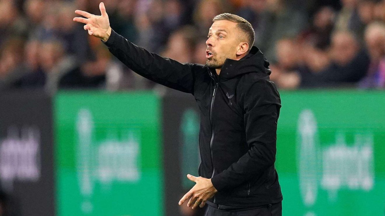Wolves head coach Gary O'Neil gestures during a friendly