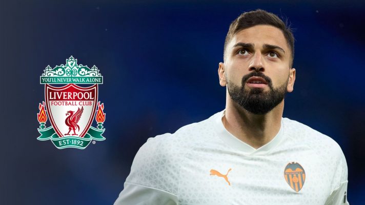 Giorgi Mamardashvili is well suited to Liverpool