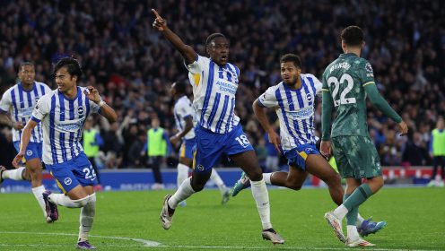 Tottenham must realise defending is not for cowards after Brighton take delightfully silly win
