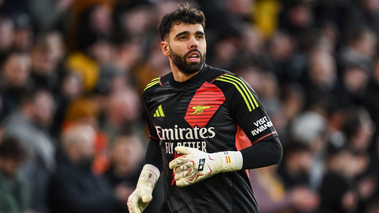 Arsenal goalkeeper David Raya