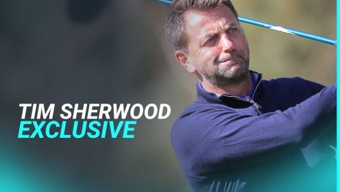 Exclusive: Tim Sherwood drops Spurs ‘carnage’ warning in verdict on Ange Postecoglou’s future