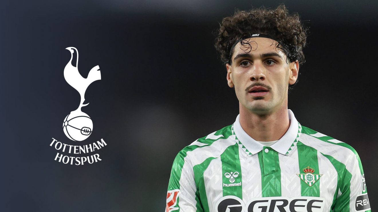 Johnny Cardoso, Tottenham