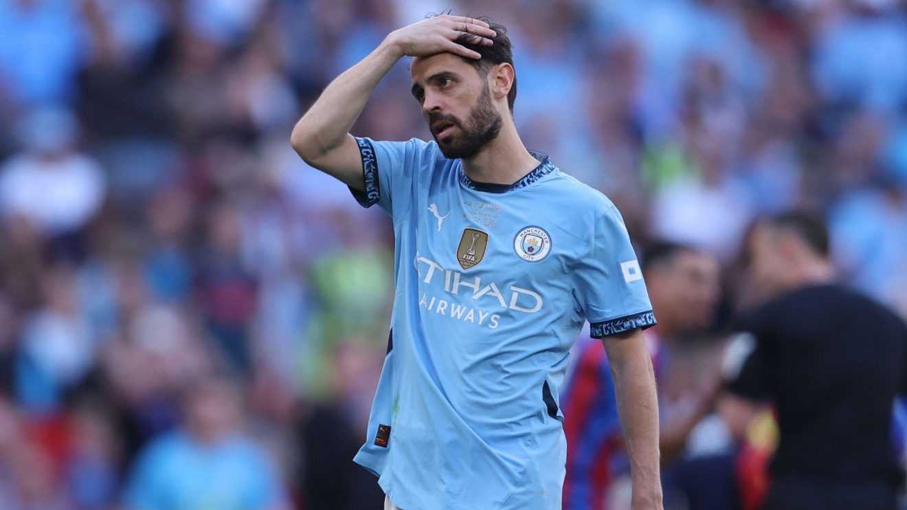 Silva Man City