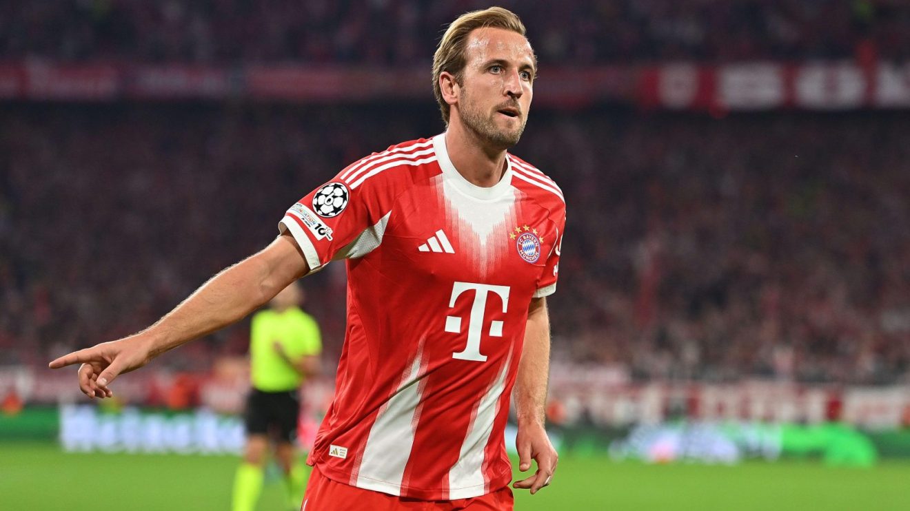 Harry Kane celebrates his goal