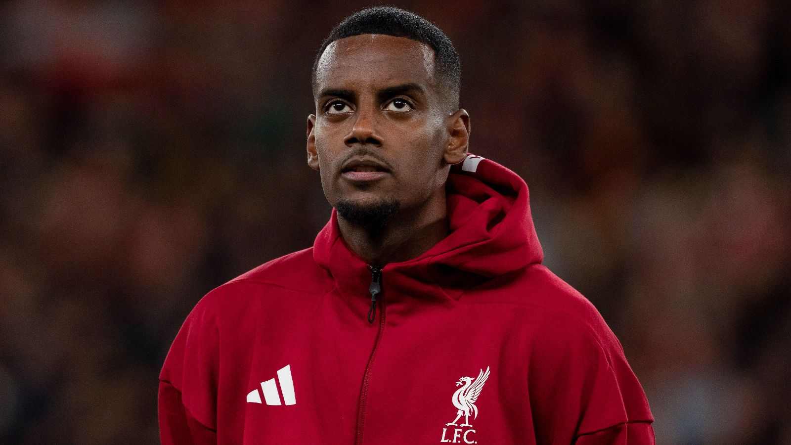 alexander isak liverpool champions league 2
