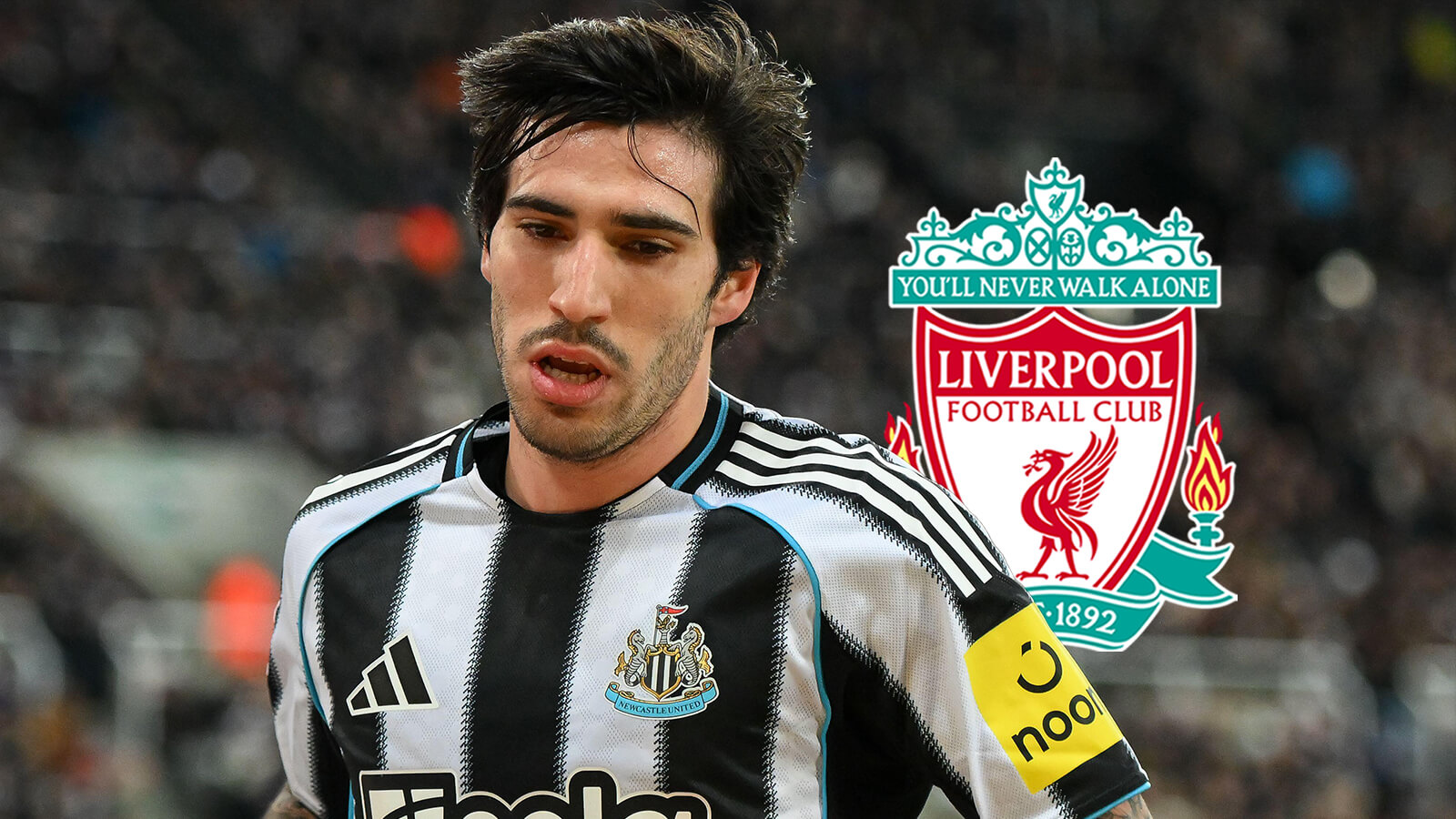 F365 One Badge Sandro Tonali Liverpool 1