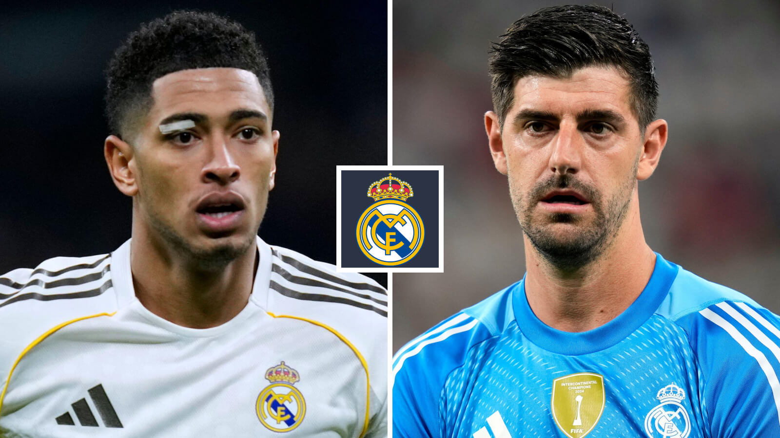 Two Images Collage Courtois Bellingham