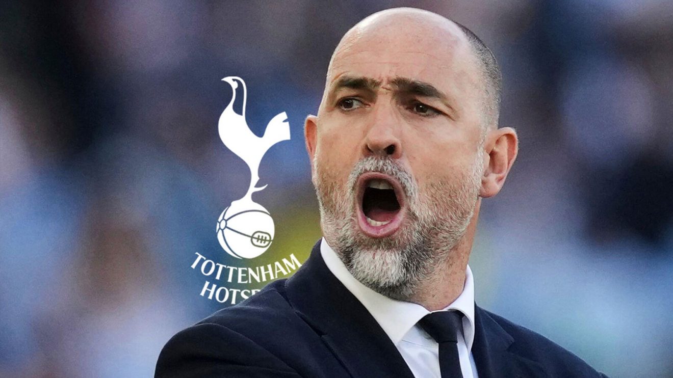 Tottenham interim manager Igor Tudor.