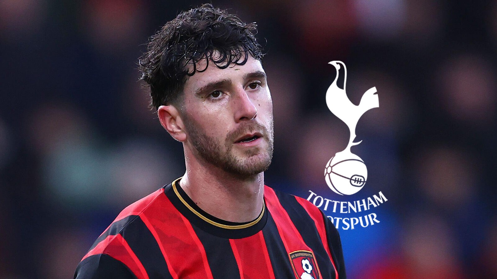 F365 One Badge Marcos Senesi Tottenham Hotspur