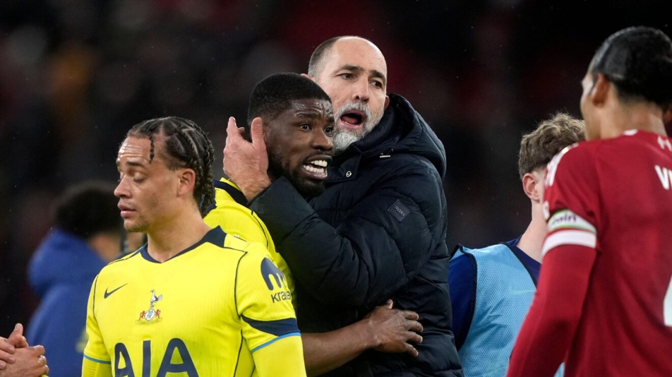 Tottenham optimal pooch Igor Tudor