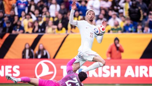 French media gush over Liverpool star who ‘perfectly completes the puzzle’ for Deschamps