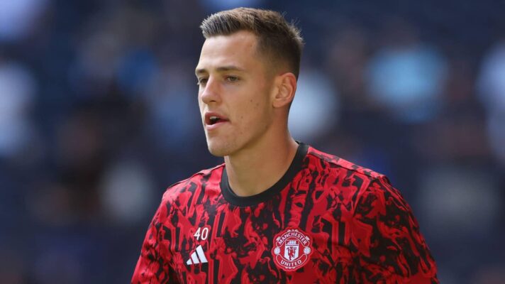 Manchester United goalkeeper, Radek Vitek