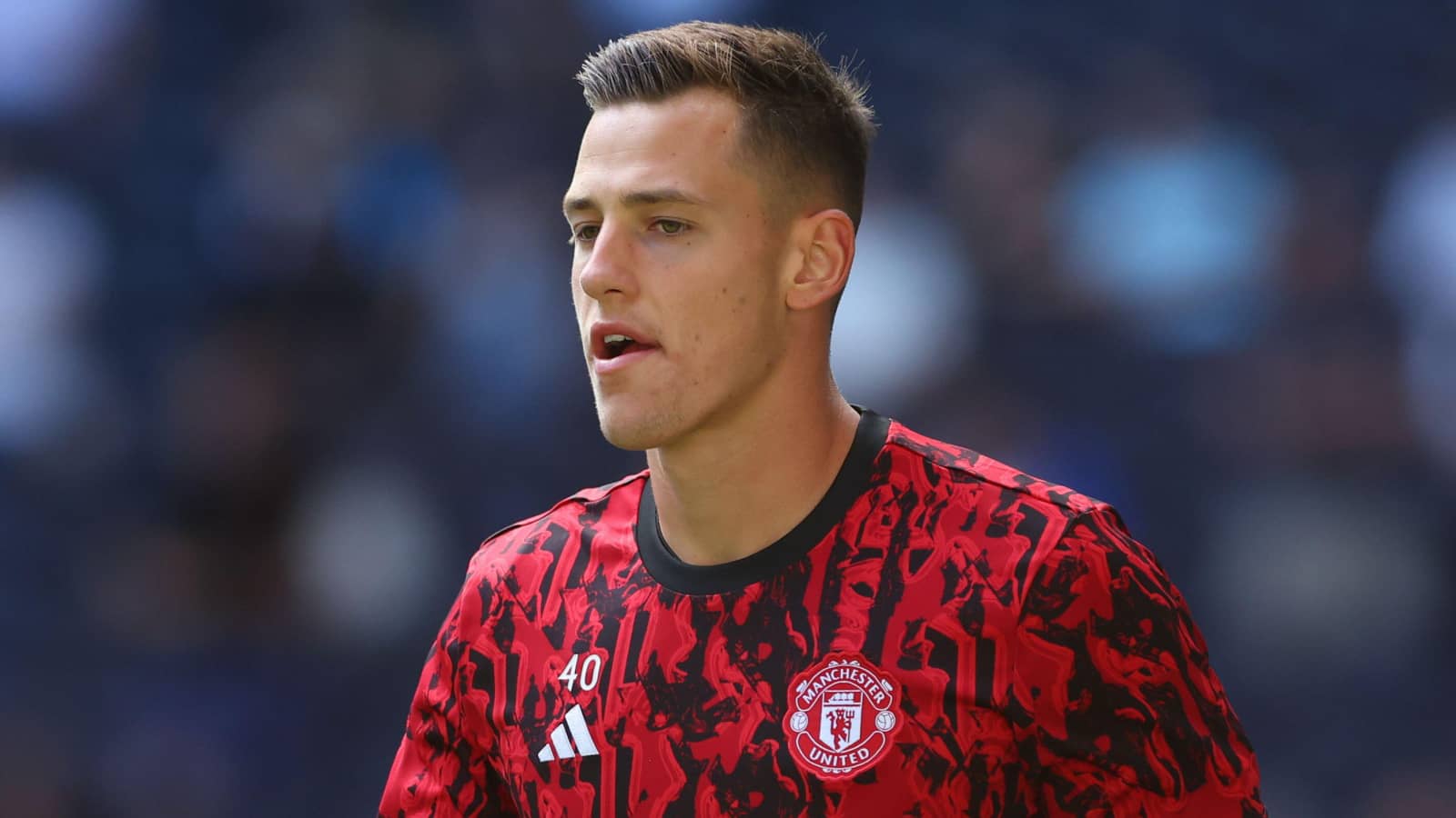 man utd goalkeeper radek vitek