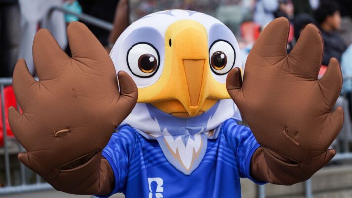 World Cup mascot