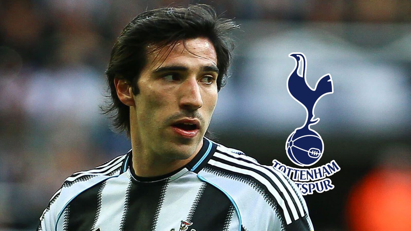 Sandro Tonali Tottenham Hotspur