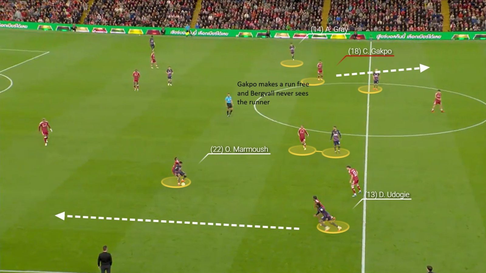 Tottenham caught by Cody Gakpo