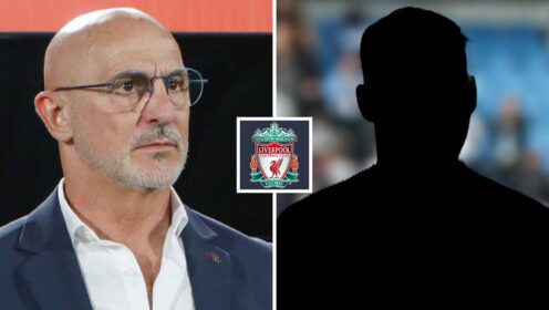De La Fuente wishes ‘fantastic’ Liverpool star played for Spain – ‘I like the way he plays’