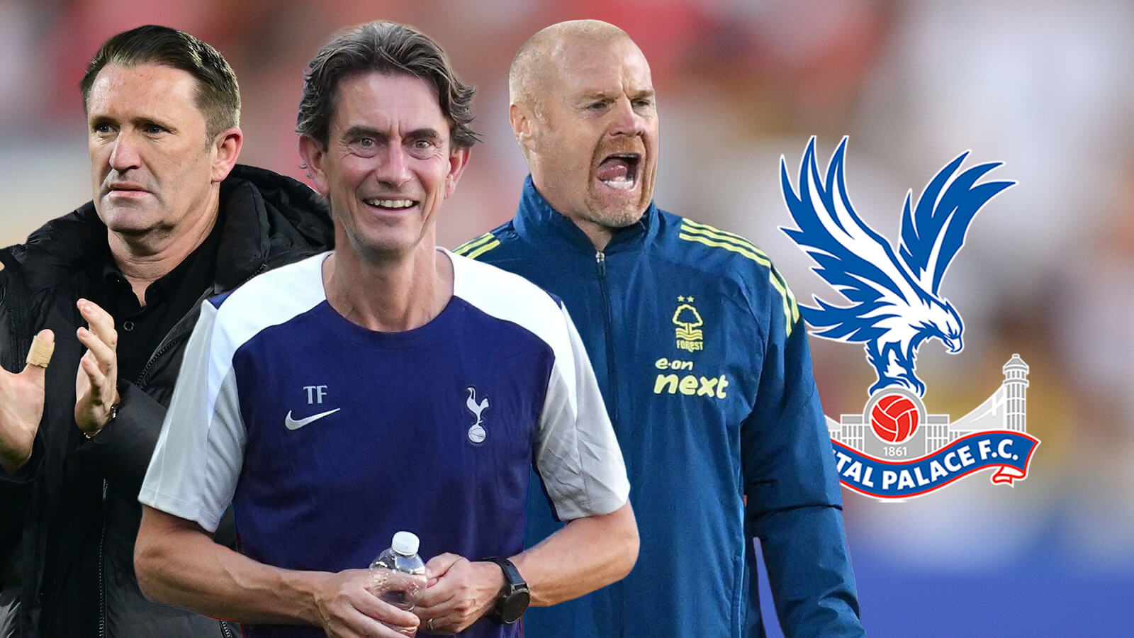 Who will be next Crystal Palace manager after Pierre Sage sack?